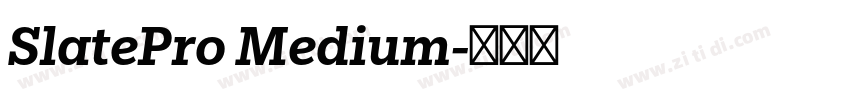 SlatePro Medium字体转换
